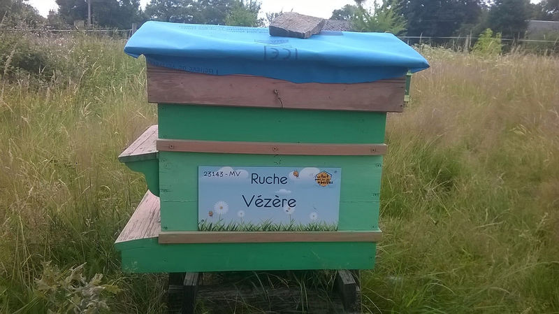 La ruche Vézère