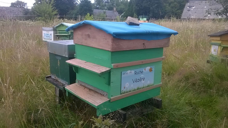 La ruche Vézère