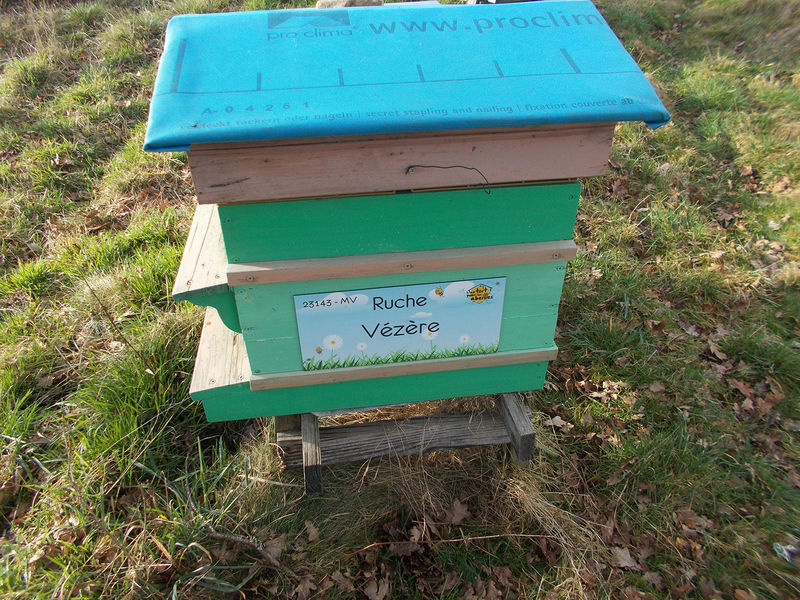La ruche Vézère