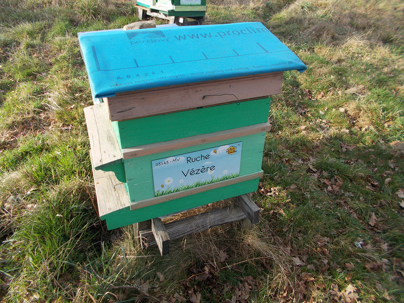 La ruche Vézère