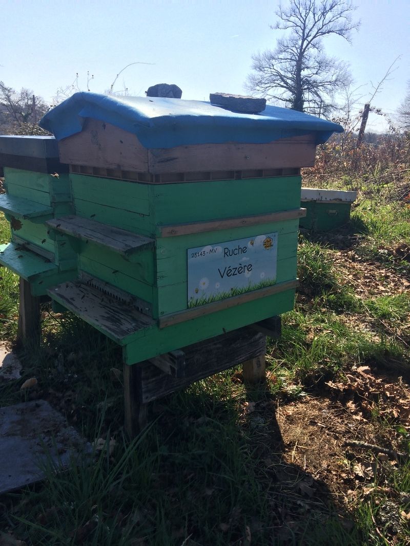 La ruche Vézère
