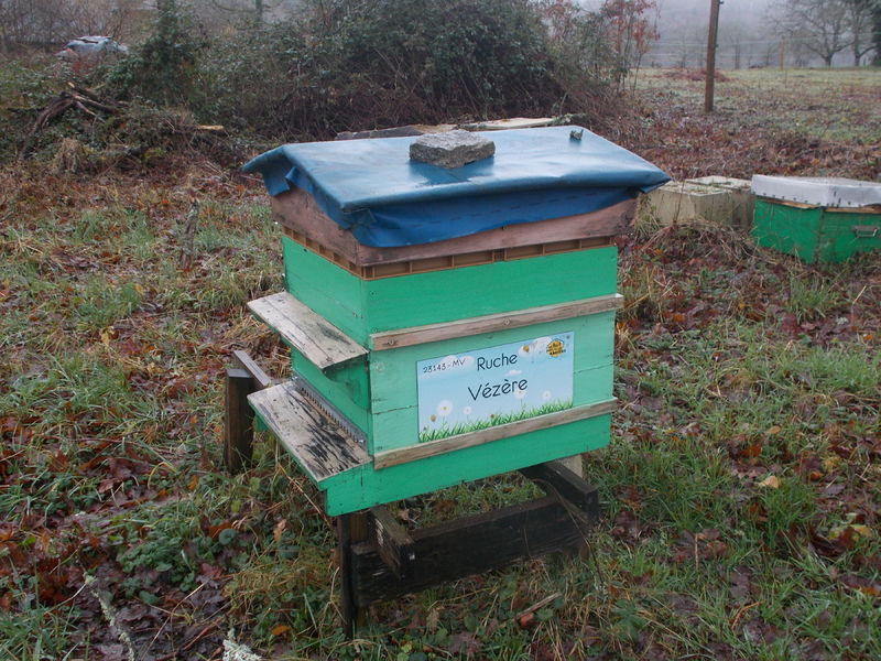 La ruche Vézère