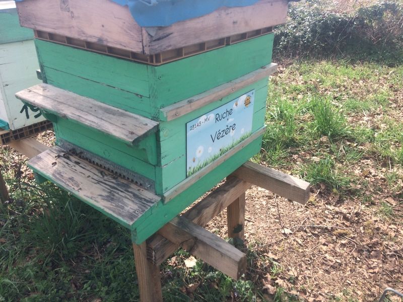 La ruche Vézère