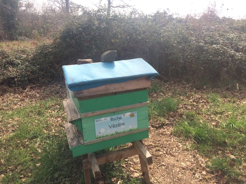 La ruche Vézère