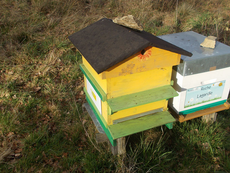 Cabinet Coulon l entreprise cabinet coulon parraine des abeilles Cabinet Coulon l entreprise cabinet coulon parraine des abeilles