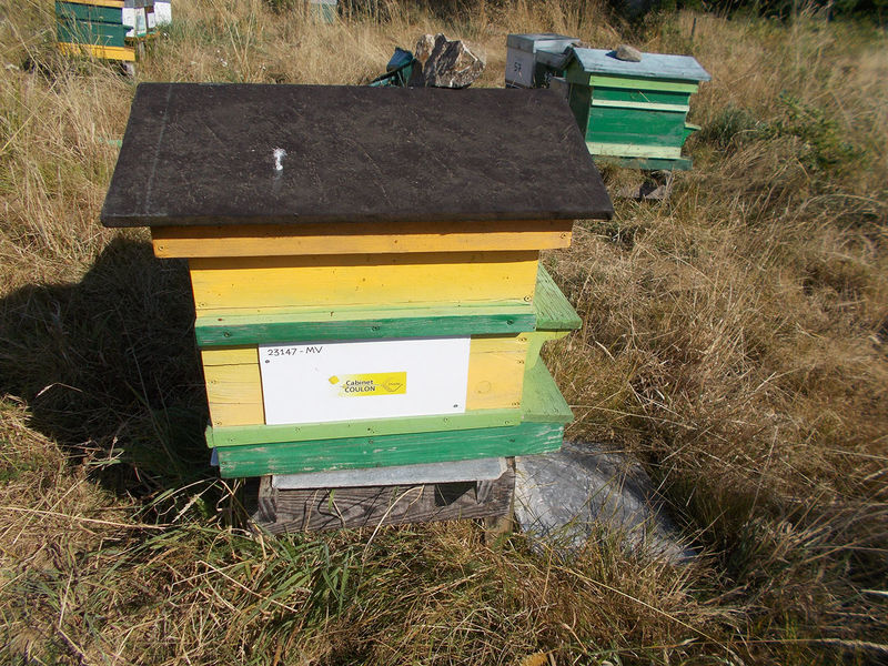La ruche Cabinet coulon