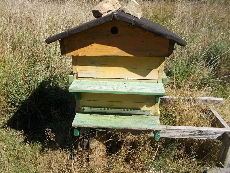 La ruche Cabinet Coulon