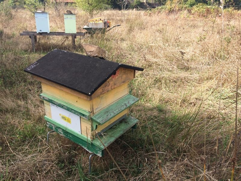 La ruche Cabinet coulon