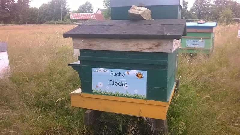 La ruche Clédat