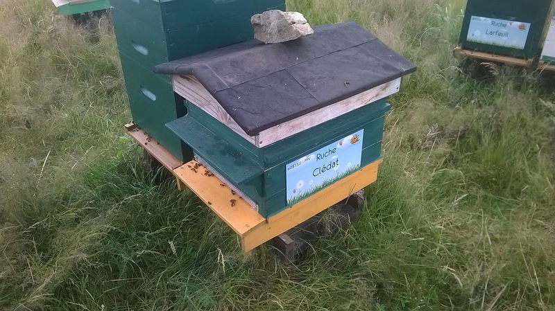 La ruche Clédat