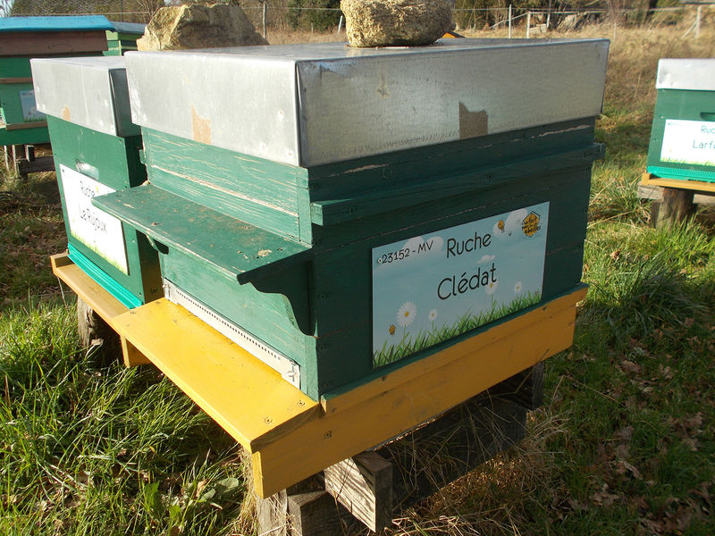 La ruche Clédat