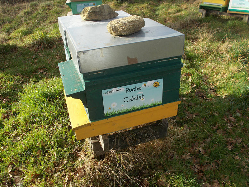 La ruche Clédat