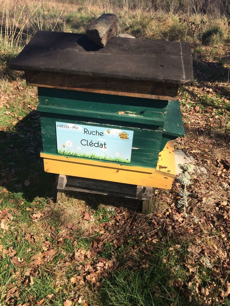 La ruche Clédat