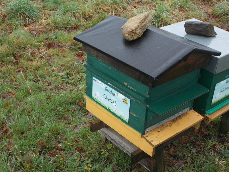 La ruche Clédat
