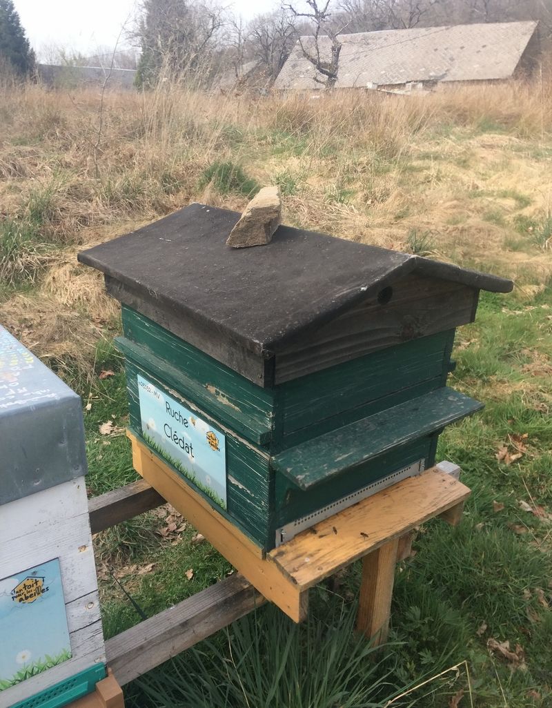 La ruche Clédat