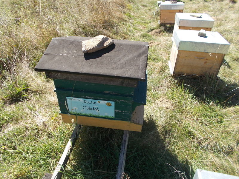 La ruche Clédat