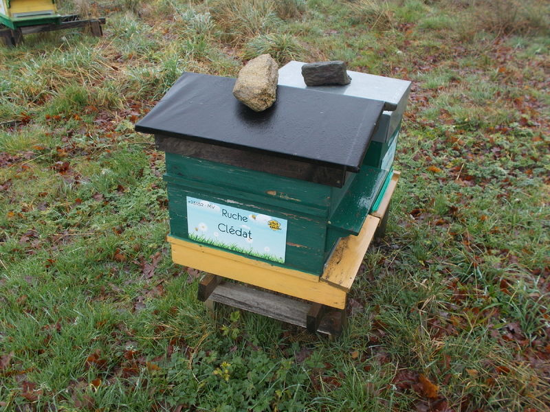 La ruche Clédat