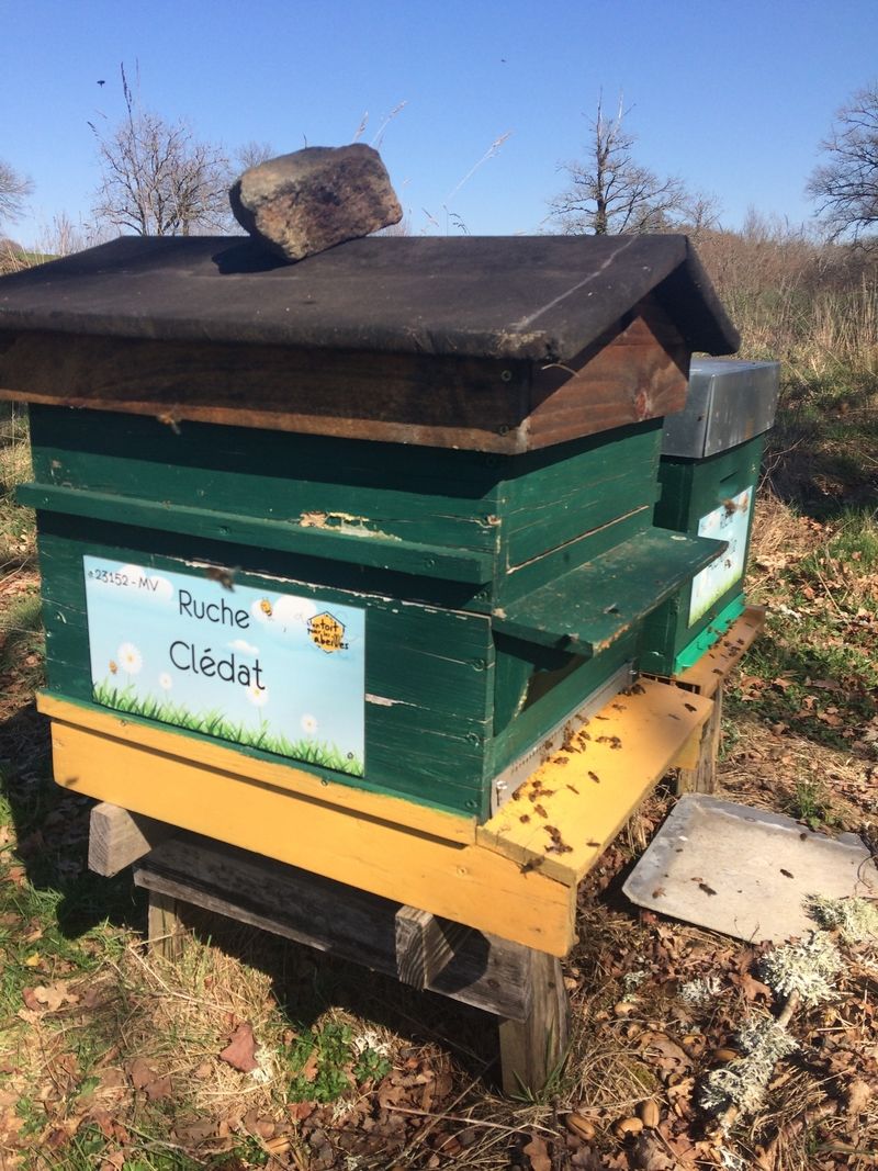 La ruche Clédat