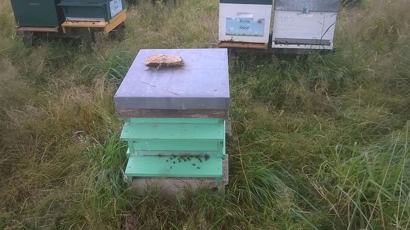 La ruche Millevaches