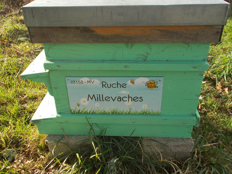 La ruche Millevaches