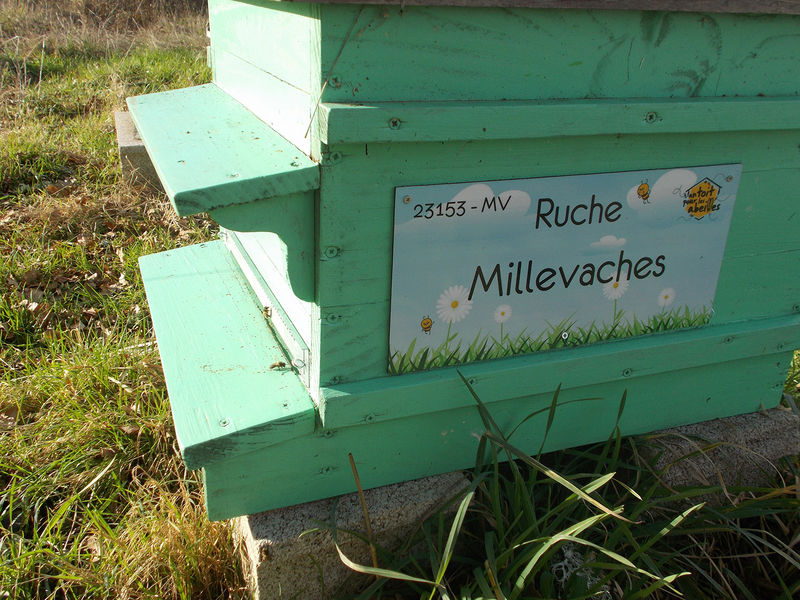 La ruche Millevaches