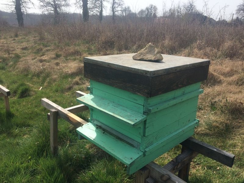 La ruche Millevaches