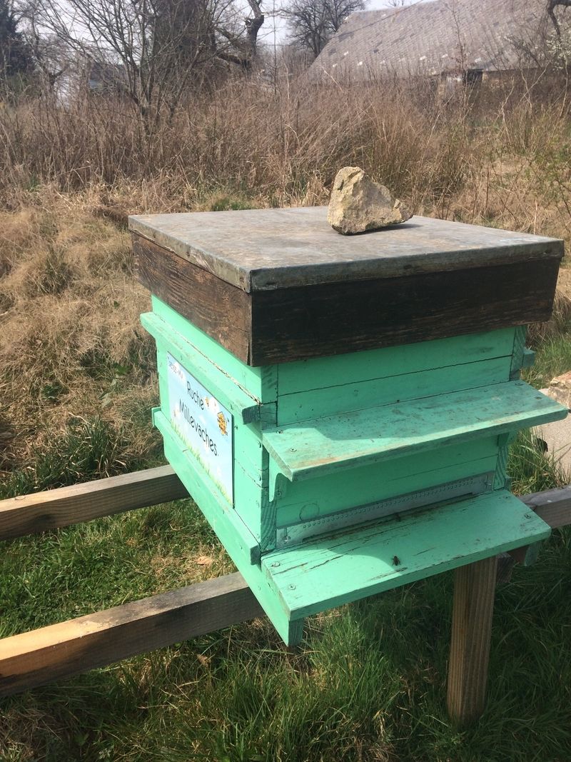 La ruche Millevaches