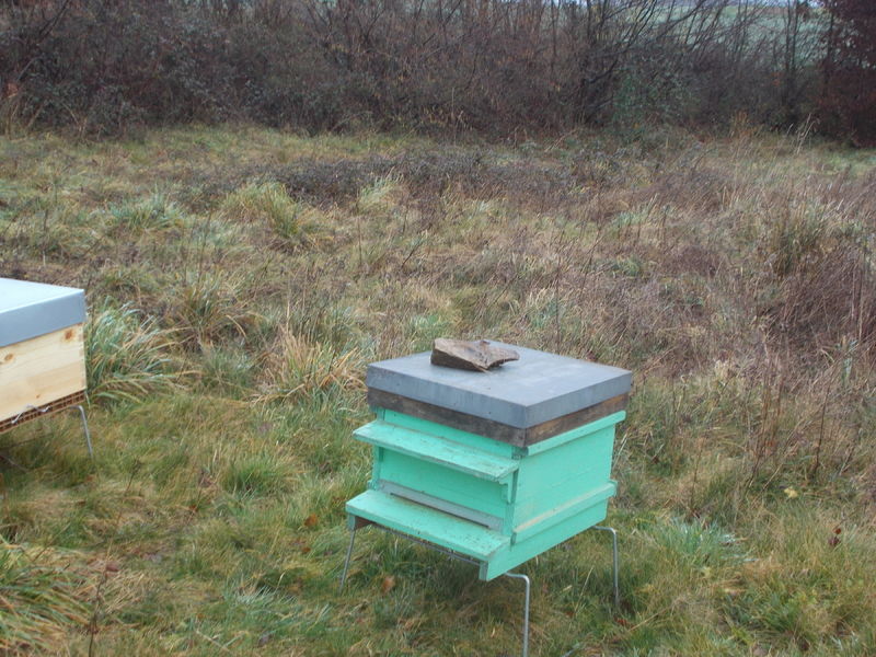 La ruche Millevaches