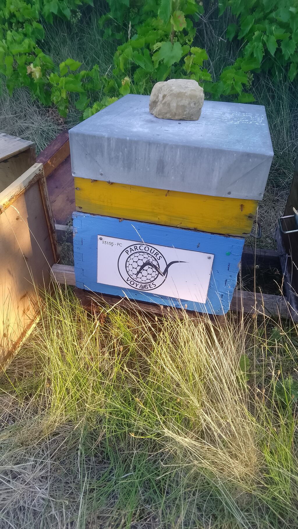 La ruche Parcours & Voyages