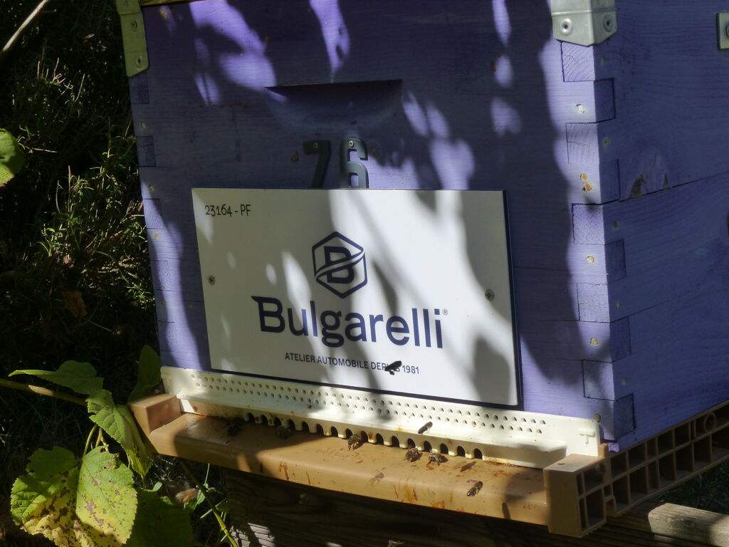La ruche Carrosserie Bulgarelli 