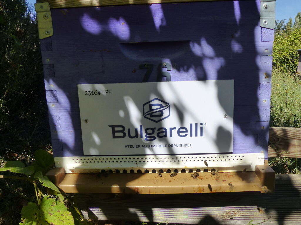 La ruche Carrosserie Bulgarelli 