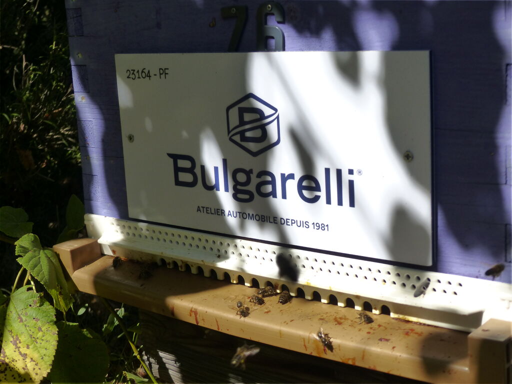 La ruche Carrosserie Bulgarelli 