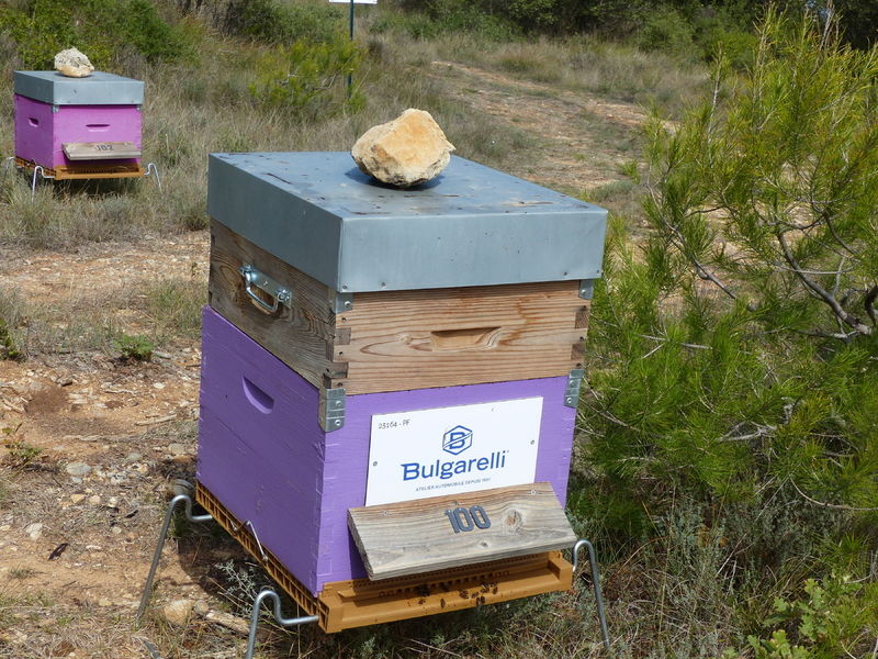 La ruche Carrosserie Bulgarelli 