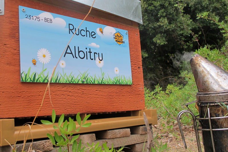 La ruche Albitru