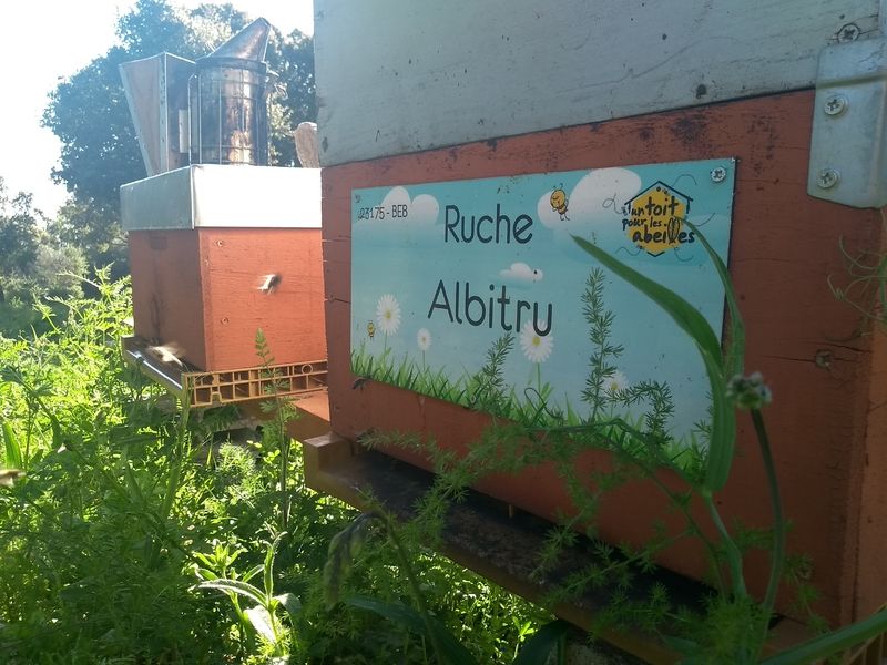 La ruche Albitru