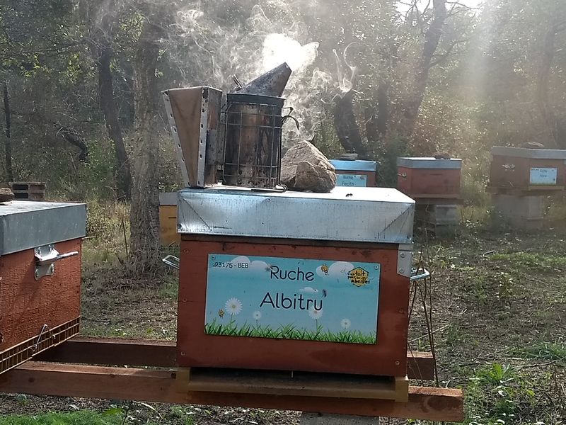 La ruche Albitru