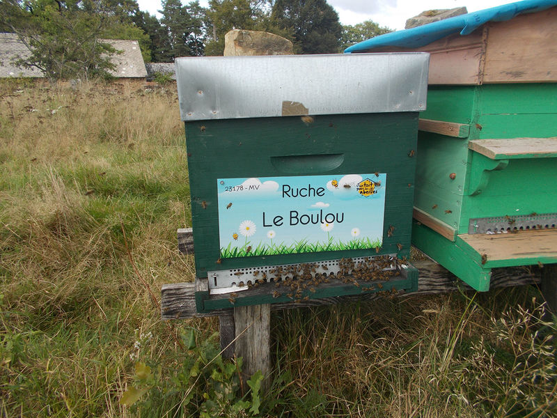 La ruche Le Boulou