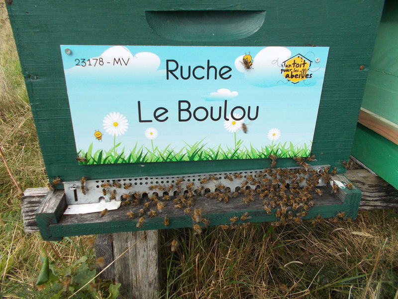 La ruche Le Boulou