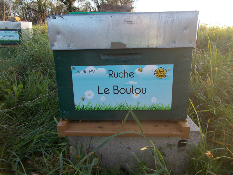 La ruche Le Boulou