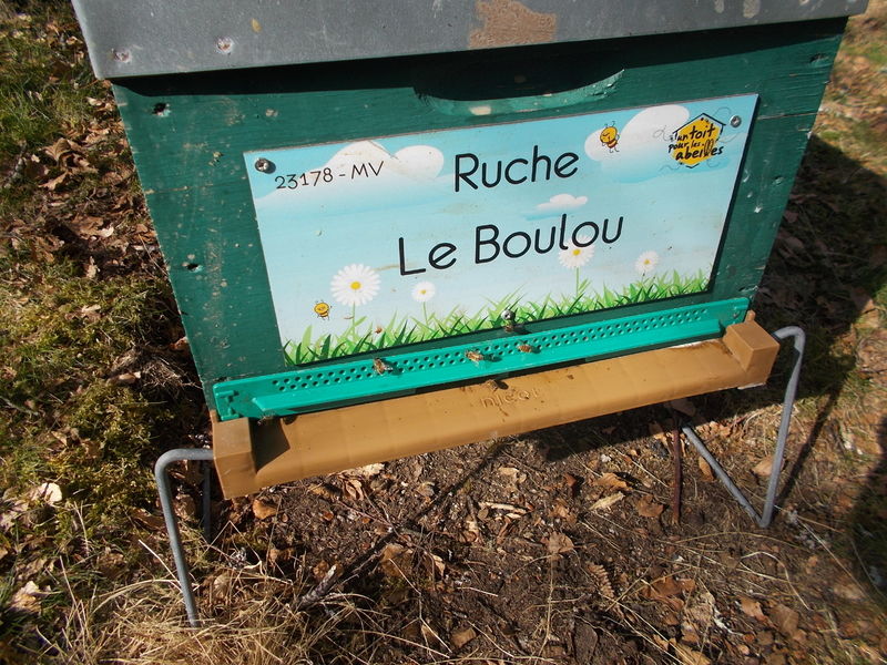 La ruche