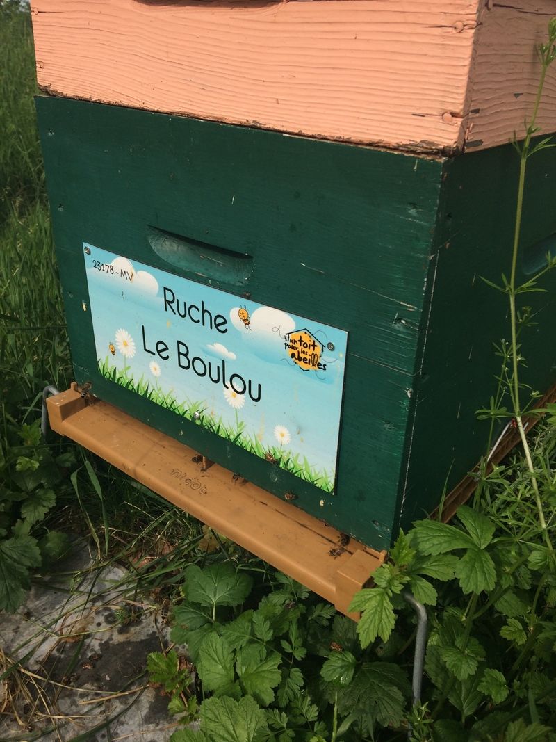 La ruche Le Boulou