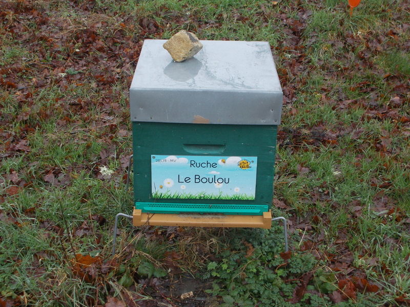 La ruche Le Boulou