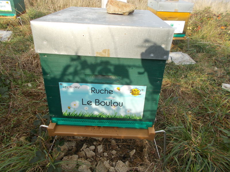 La ruche Le Boulou