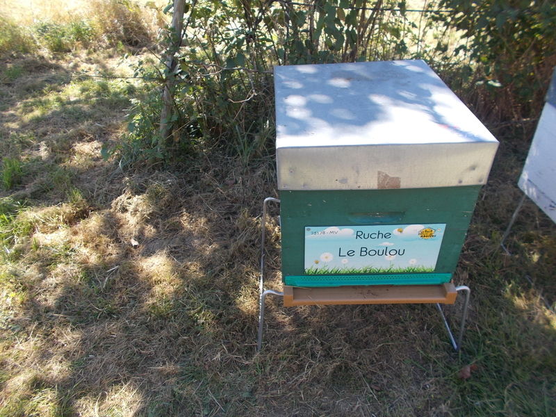 La ruche Le Boulou