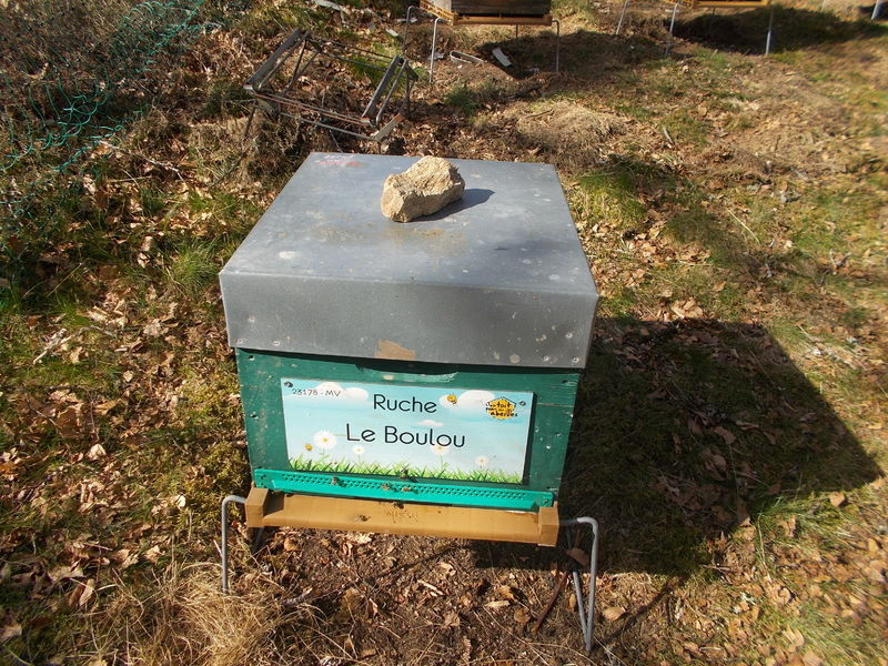 La ruche Le Boulou