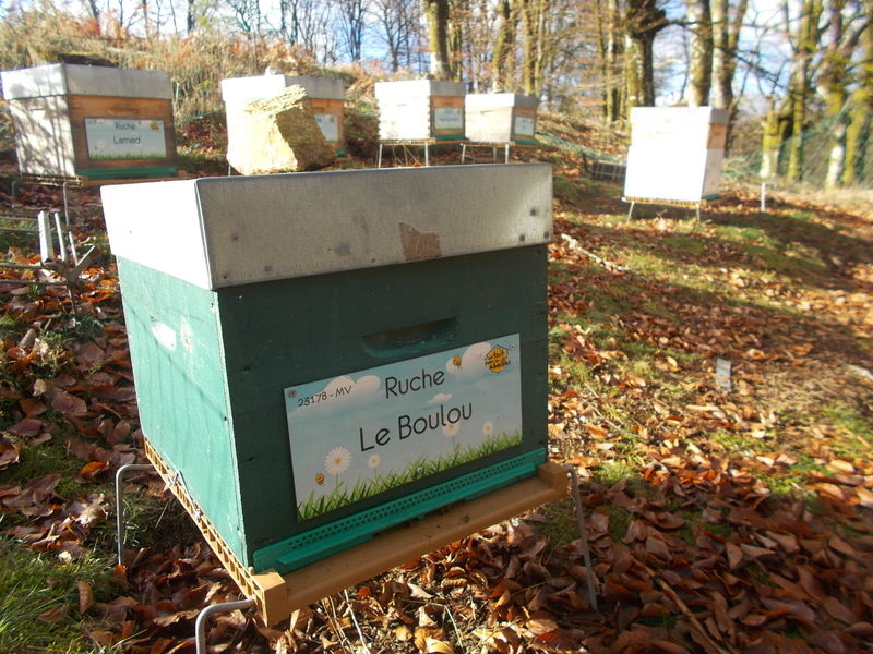La ruche Le Boulou
