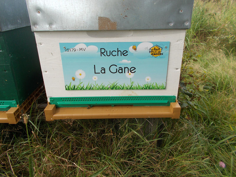 La ruche