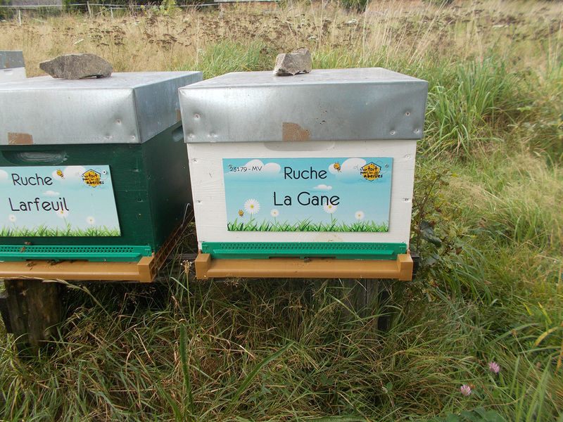 La ruche La Gane