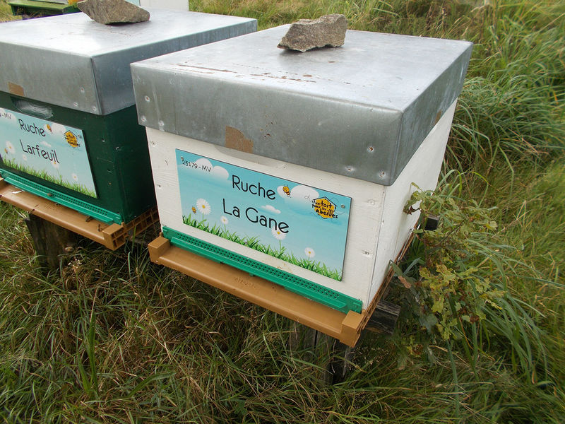 La ruche La Gane