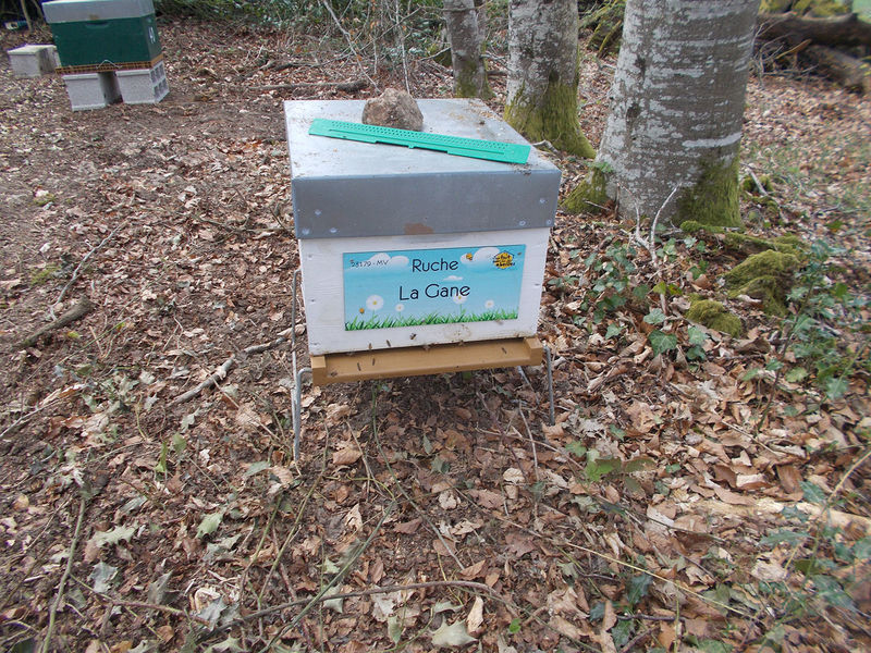 La ruche La Gane